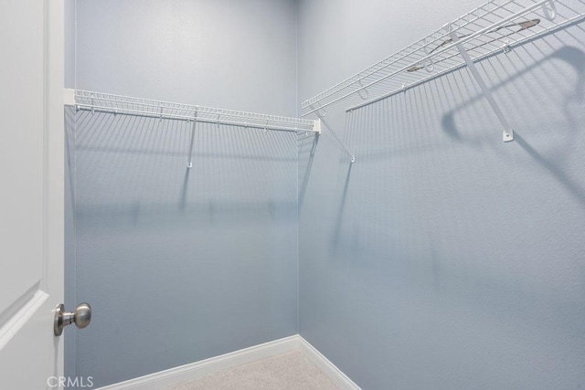 spacious closet with carpet flooring
