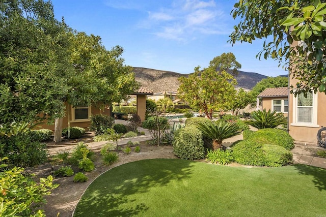 view of yard with a mountain view