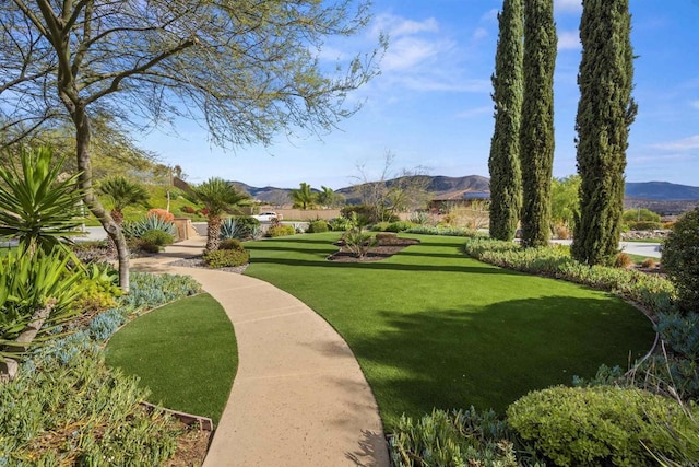 surrounding community featuring a mountain view and a yard
