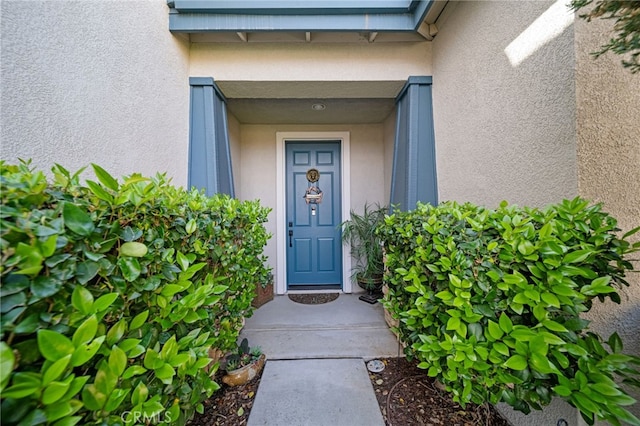 view of exterior entry with stucco siding