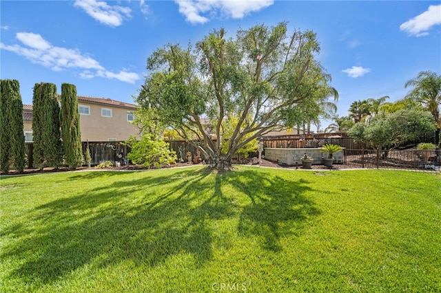 view of yard with a fenced backyard