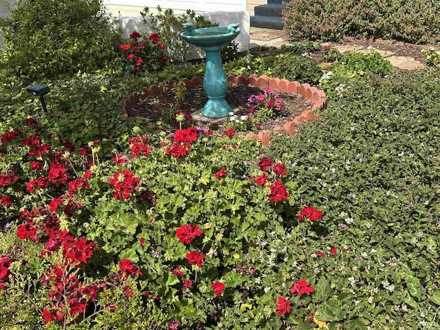 view of details