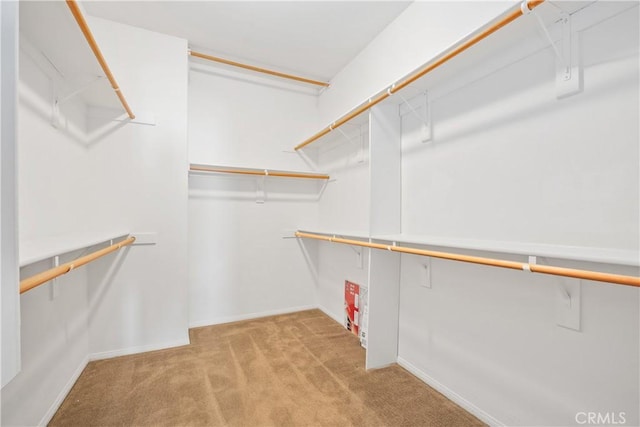 115 Vermillion, Irvine, CA 92603 - walk in closet with light colored carpet