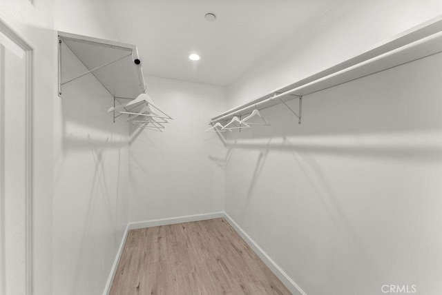 walk in closet with light wood-type flooring