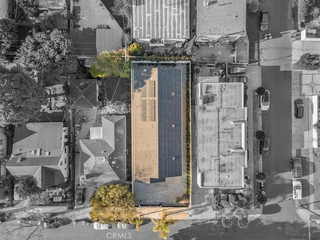 bird's eye view