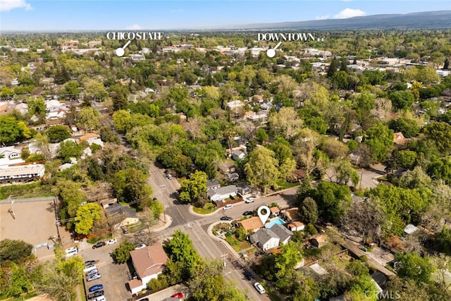 1109 Ivy St, Chico, CA 95928 - drone / aerial view