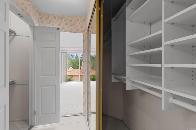 view of walk in closet