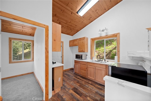 781 Arbula Dr, Crestline, CA 92325 - kitchen with stainless steel microwave, a sink, a healthy amount of sunlight, vaulted ceiling, and light countertops