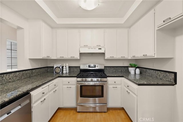 kitchen with white cabinets, appliances with stainless steel finishes, under cabinet range hood, a tray ceiling, and light wood finished floors
