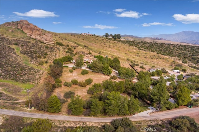32140 Windrush Rd, Agua Dulce, CA 91390 - property view of mountains