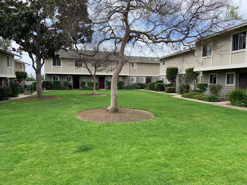 view of community with a yard