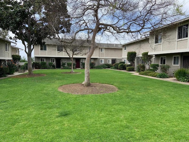 view of community with a yard