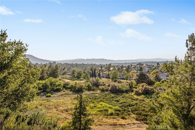 33081 Yucca St, Temecula, CA 92592 - view of mountain background