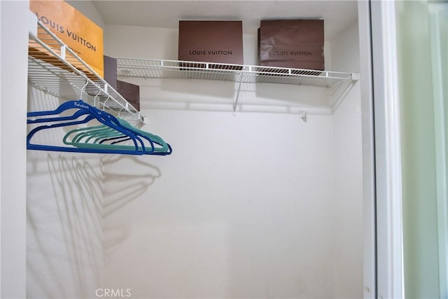 view of closet