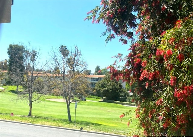 view of property's community with a yard and view of golf course