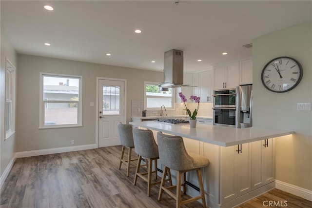kitchen featuring island exhaust hood, stainless steel appliances, light countertops, wood finished floors, and decorative backsplash