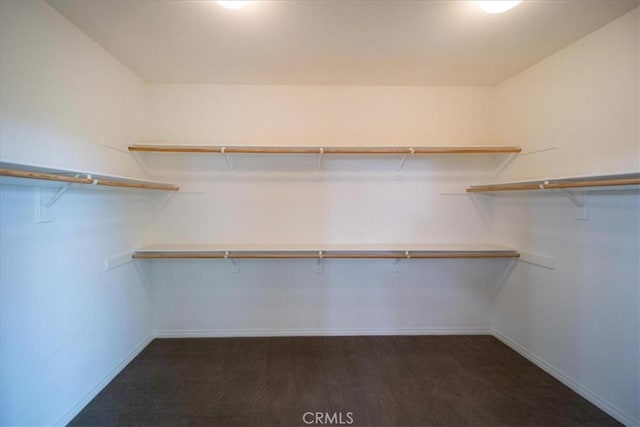spacious closet featuring dark carpet