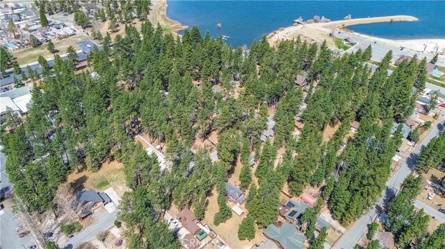 415 Knight Ave, Big Bear Lake, CA 92315 - photo 12