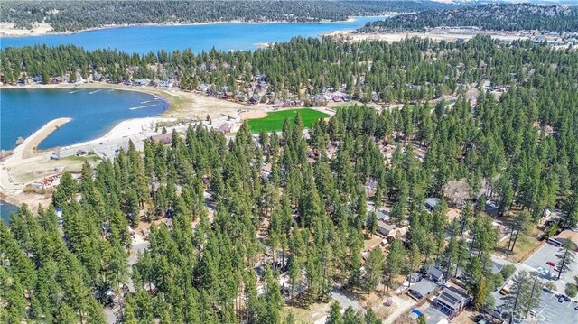 415 Knight Ave, Big Bear Lake, CA 92315 - photo 16