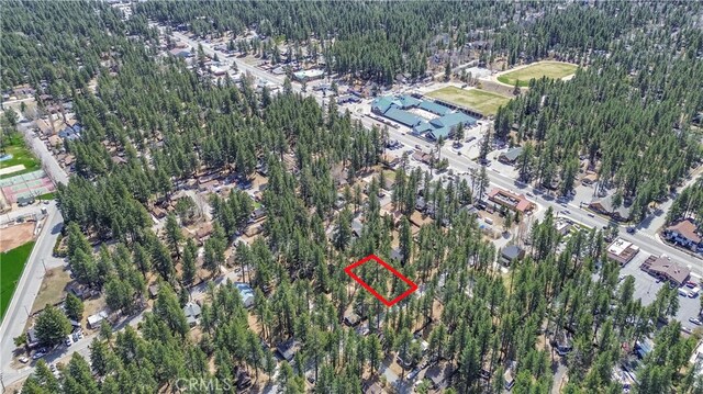 415 Knight Ave, Big Bear Lake, CA 92315 - photo 21