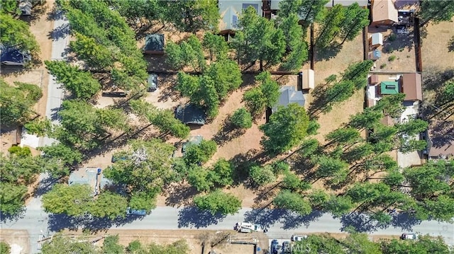 415 Knight Ave, Big Bear Lake, CA 92315 - photo 6