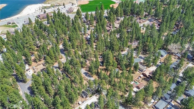 415 Knight Ave, Big Bear Lake, CA 92315 - photo 14