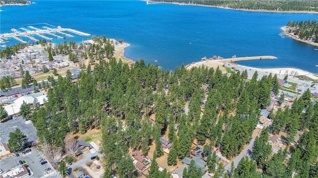 415 Knight Ave, Big Bear Lake, CA 92315 - photo 1