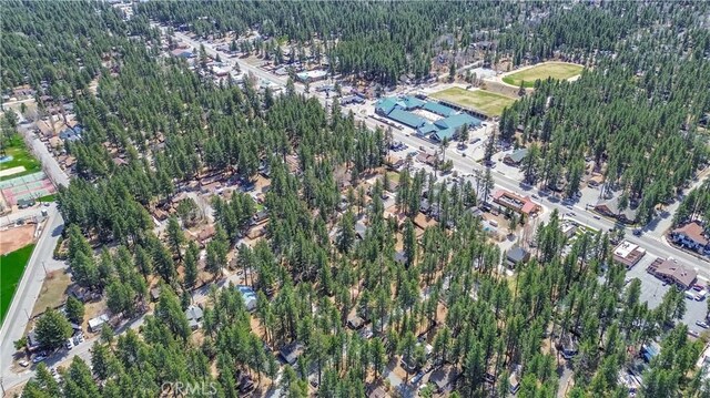 415 Knight Ave, Big Bear Lake, CA 92315 - photo 22
