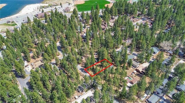 415 Knight Ave, Big Bear Lake, CA 92315 - photo 13