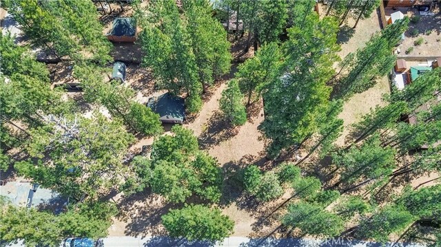 415 Knight Ave, Big Bear Lake, CA 92315 - photo 5