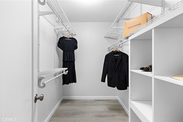 walk in closet featuring light wood finished floors