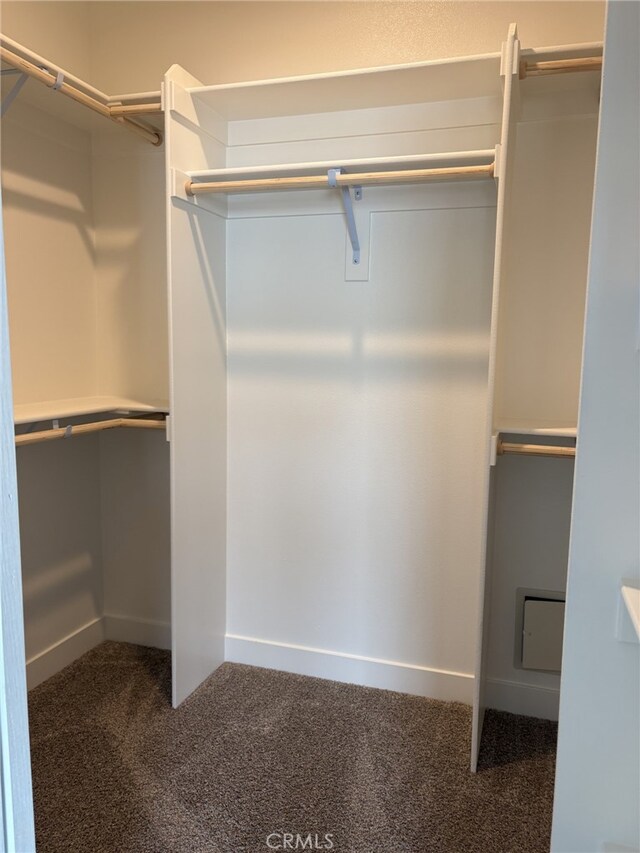 12525 Spring Valley Pkwy, Victorville, CA 92395 - walk in closet with carpet