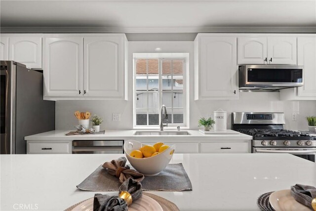 kitchen featuring white cabinets, stainless steel appliances, light countertops, and a sink