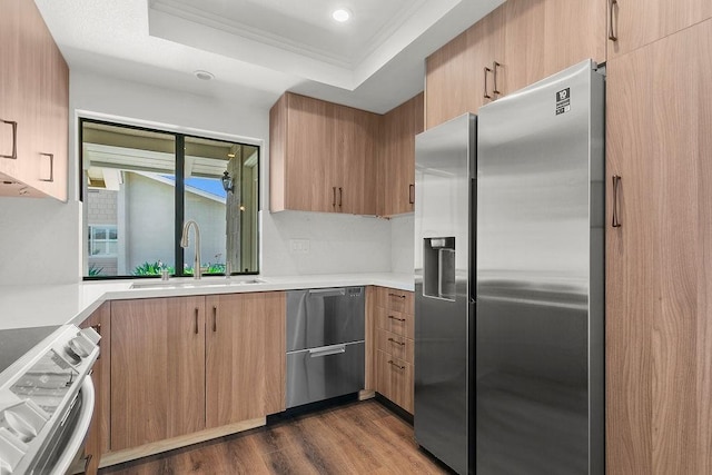 kitchen featuring crown molding, dark wood-type flooring, a tray ceiling, a sink, and appliances with stainless steel finishes