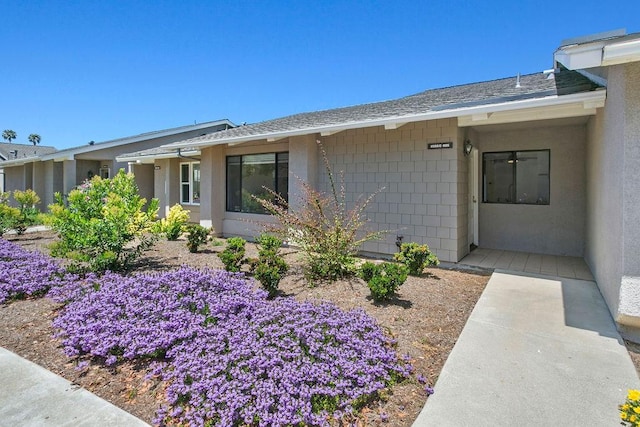 doorway to property featuring a shingled roof