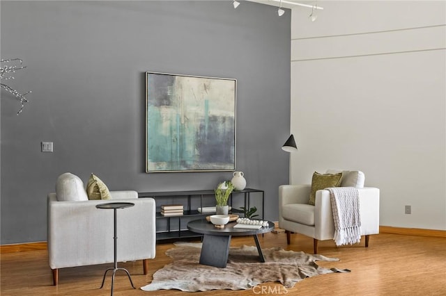 living area with wood finished floors