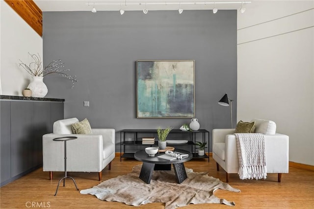 living area featuring track lighting and wood finished floors