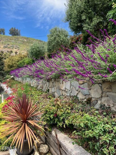 191 Southview Cir, Ventura, CA 93003 - view of yard