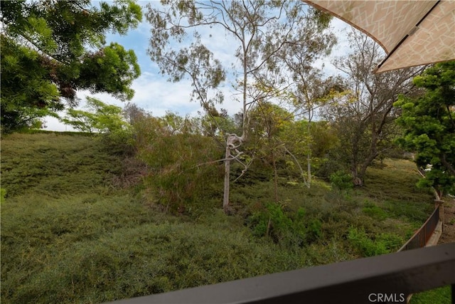 27191 Ryan Dr, Laguna Niguel, CA 92677 - view of landscape
