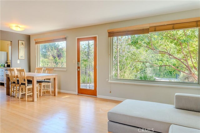 dining room featuring baseboards and light wood finished floors