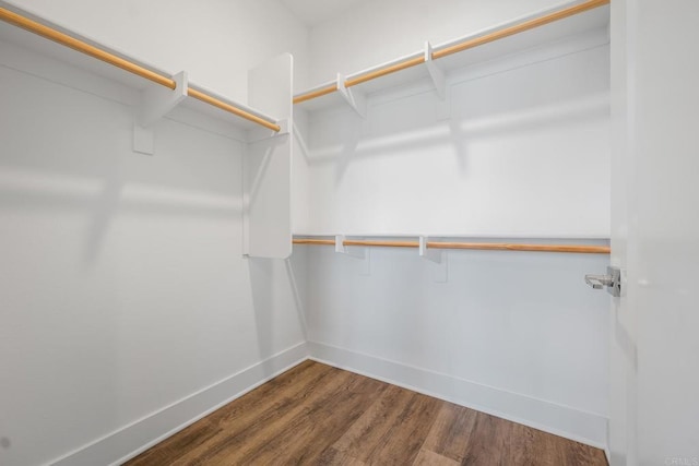 spacious closet featuring wood finished floors