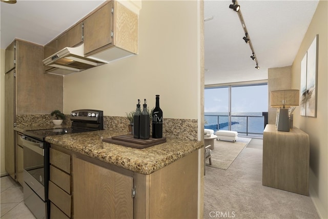 615 Esplanade Unit 302, Redondo Beach, CA 90277 - kitchen featuring stainless steel electric range oven, under cabinet range hood, a water view, light colored carpet, and track lighting