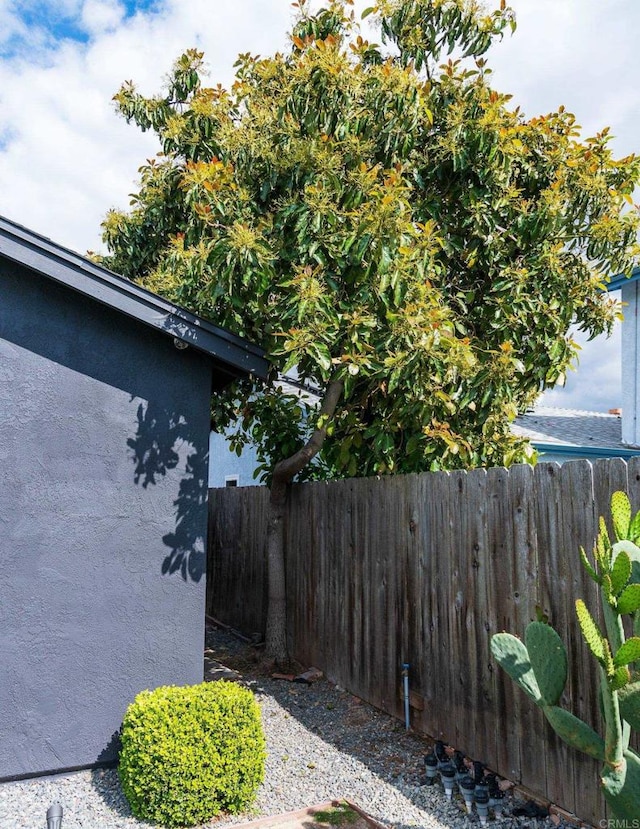 6770 Amberly St, San Diego, CA 92120 - view of yard