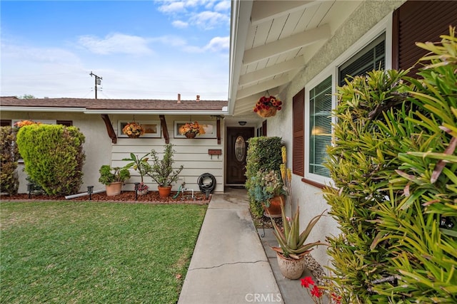 entrance to property featuring a lawn and stucco siding
