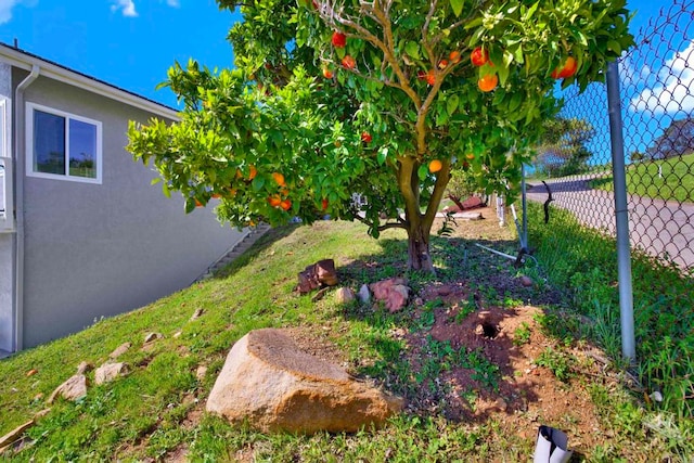 4710 Sleeping Indian Rd, Fallbrook, CA 92028 - view of yard with fence