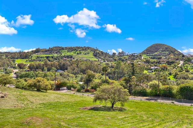 4710 Sleeping Indian Rd, Fallbrook, CA 92028 - property view of mountains