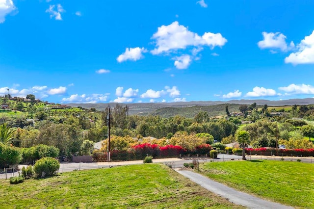 4710 Sleeping Indian Rd, Fallbrook, CA 92028 - mountain view