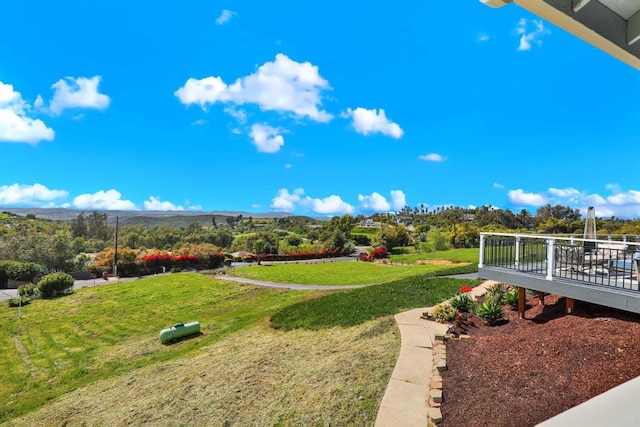 4710 Sleeping Indian Rd, Fallbrook, CA 92028 - view of yard