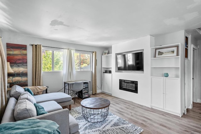 376163 Swift Ave, San Diego, CA 92104 - living area featuring light wood finished floors and a glass covered fireplace