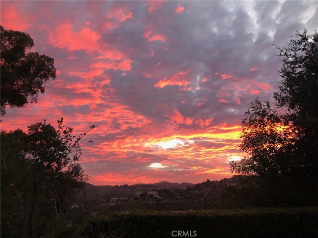 77 Dapplegray Rd, Bell Canyon, CA 91307 - photo 43